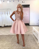 Cocktail Dresses Pink Plus Size Short Evening Prom Dress 2019