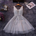 New Evening Dresses 2019 A Line Lace Appliques Lace Up Back V Neck Short Evening Dress Robe De Soiree Prom gown Formal Dress