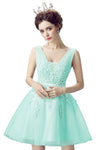 New Evening Dresses 2019 A Line Lace Appliques Lace Up Back V Neck Short Evening Dress Robe De Soiree Prom gown Formal Dress