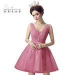 New Evening Dresses 2019 A Line Lace Appliques Lace Up Back V Neck Short Evening Dress Robe De Soiree Prom gown Formal Dress