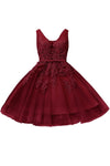 New Evening Dresses 2019 A Line Lace Appliques Lace Up Back V Neck Short Evening Dress Robe De Soiree Prom gown Formal Dress