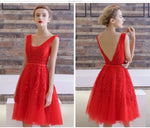 New Evening Dresses 2019 A Line Lace Appliques Lace Up Back V Neck Short Evening Dress Robe De Soiree Prom gown Formal Dress